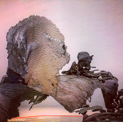 Interrupted 3D scan by artist Paul Coombs